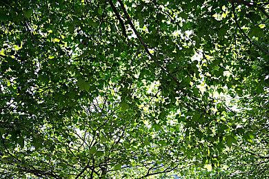 《战地实验室》的首次测试将聚焦于战斗和破坏效果