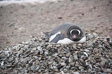 《心灵杀手2》团队正在开发游戏PS5 Pro性能增强功能